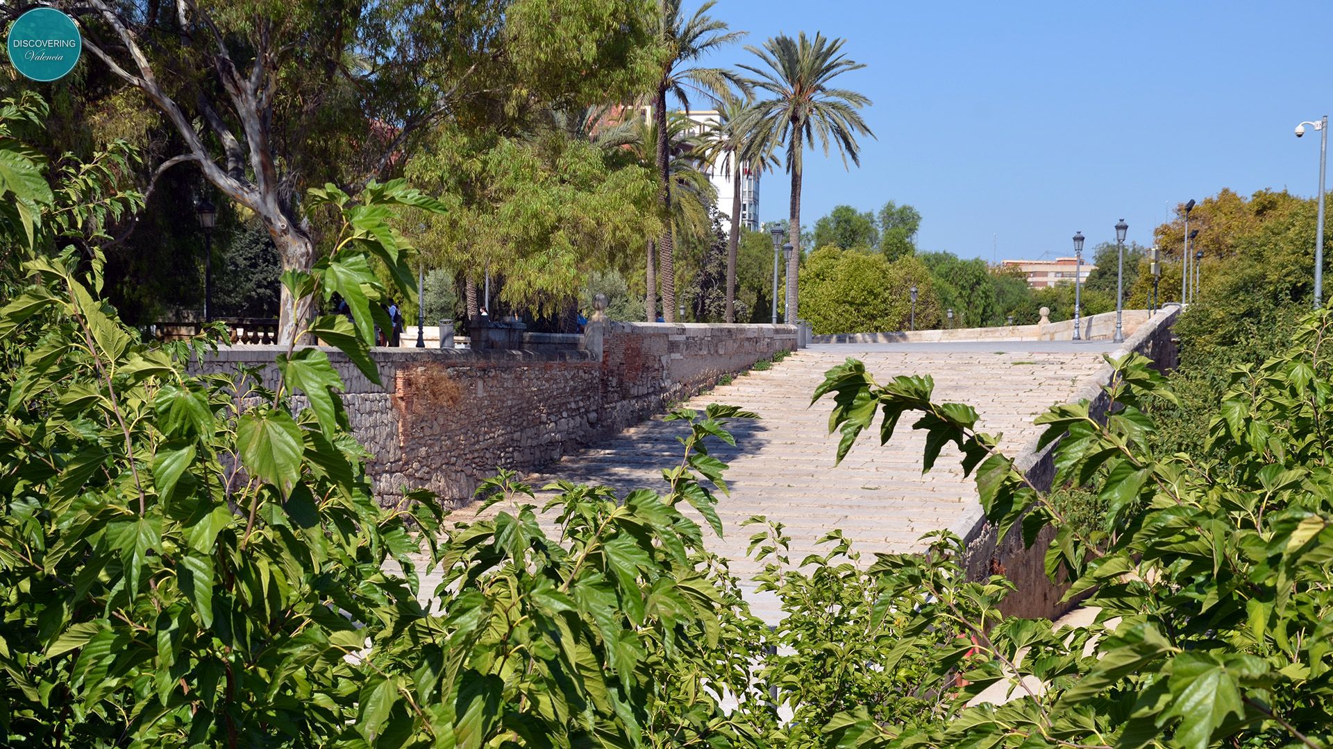 VISITA GUIADA VALENCIA JARDINES Y PUENTES DEL RÍO TURIA - Discovering ...