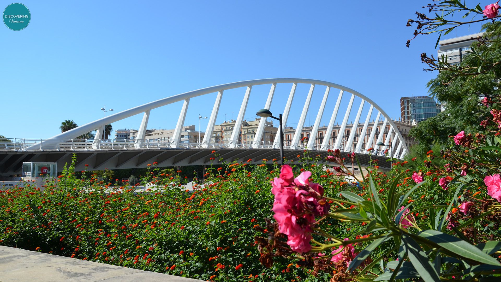 VISITA GUIADA VALENCIA JARDINES Y PUENTES DEL RÍO TURIA - Discovering ...