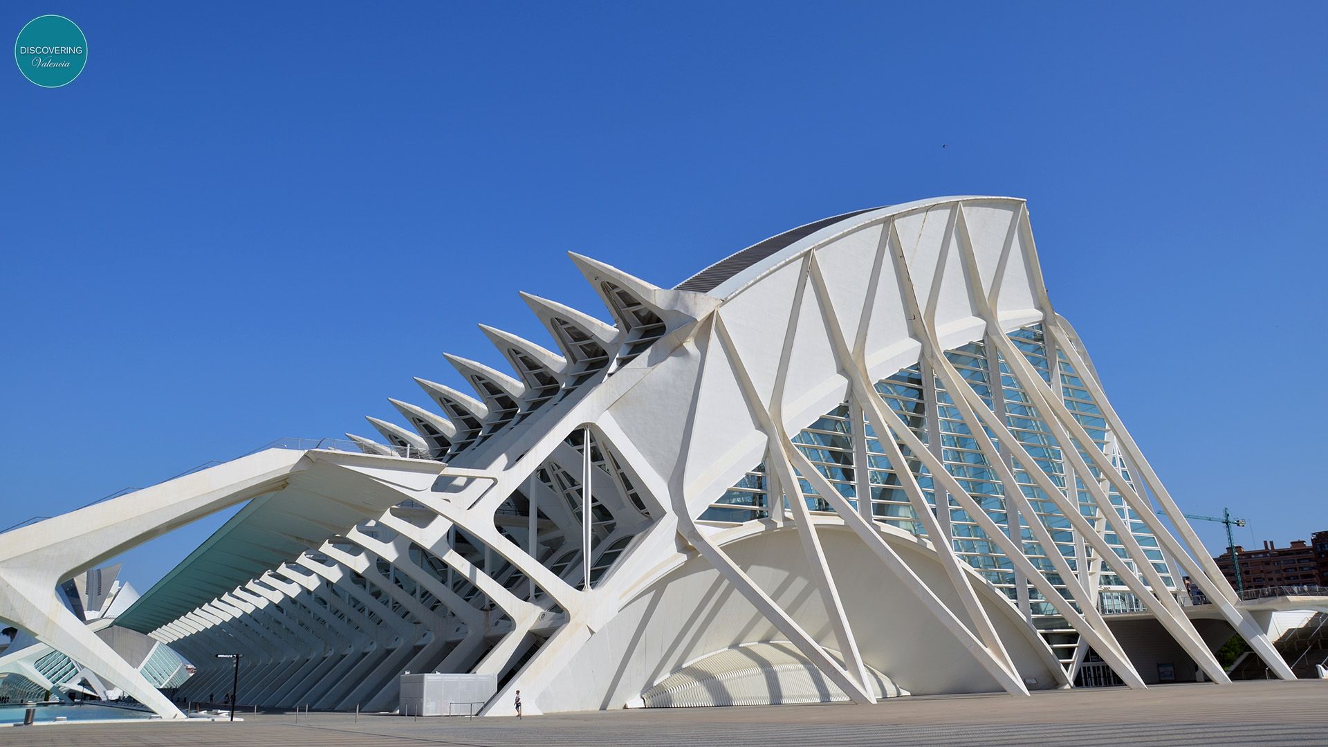 GUIDED TOUR VALENCIA FALLAS MUSEUM AND CITY OF ARTS AND SCIENCES ...